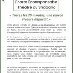 INTIME ET IMMERSIF par CYRILLE PLANSON dans Le Piccolo